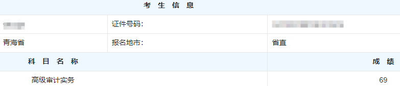 高级审计师考试分数
