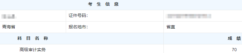 高级审计师考试分数